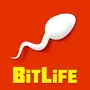 BitLife - Life Simulator