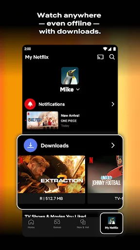 Netflix screenshot 2