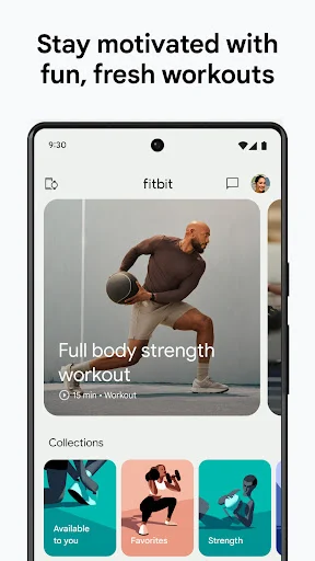 Fitbit screenshot 2